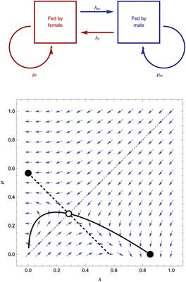 Conditional Cooperation and Turn-Taking in Parental Care